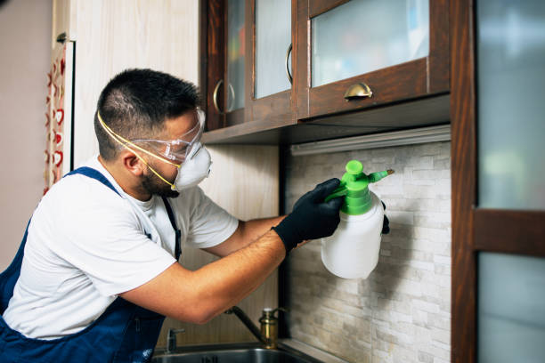 Wildlife Control Services in Montvale, NJ