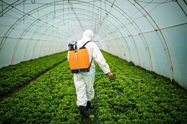 Reliable Montvale, NJ Pest Control Solutions