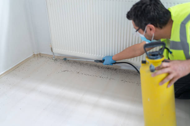 Best Affordable Pest Control Services  in Montvale, NJ